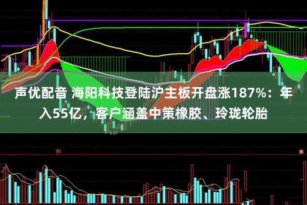 声优配音 海阳科技登陆沪主板开盘涨187%：年入55亿，客户涵盖中策橡胶、玲珑轮胎