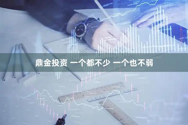 鼎金投资 一个都不少 一个也不弱