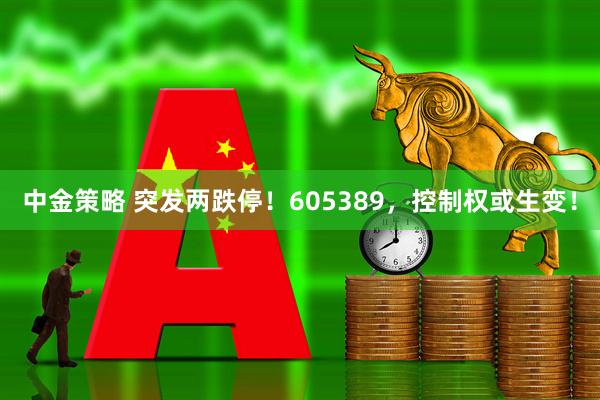 中金策略 突发两跌停！605389，控制权或生变！